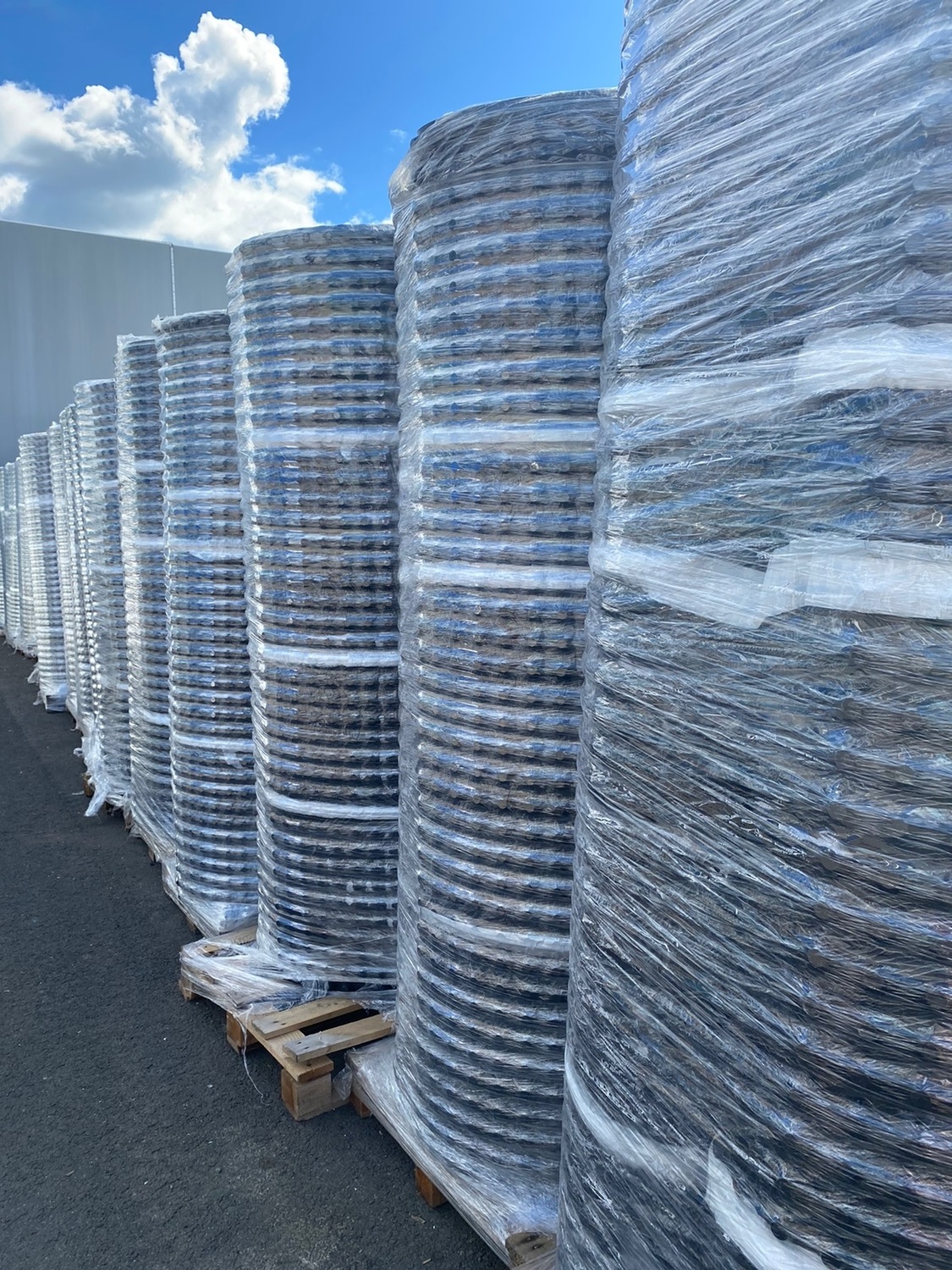 ПРОФИЛИРОВАННАЯ МЕМБРАНА